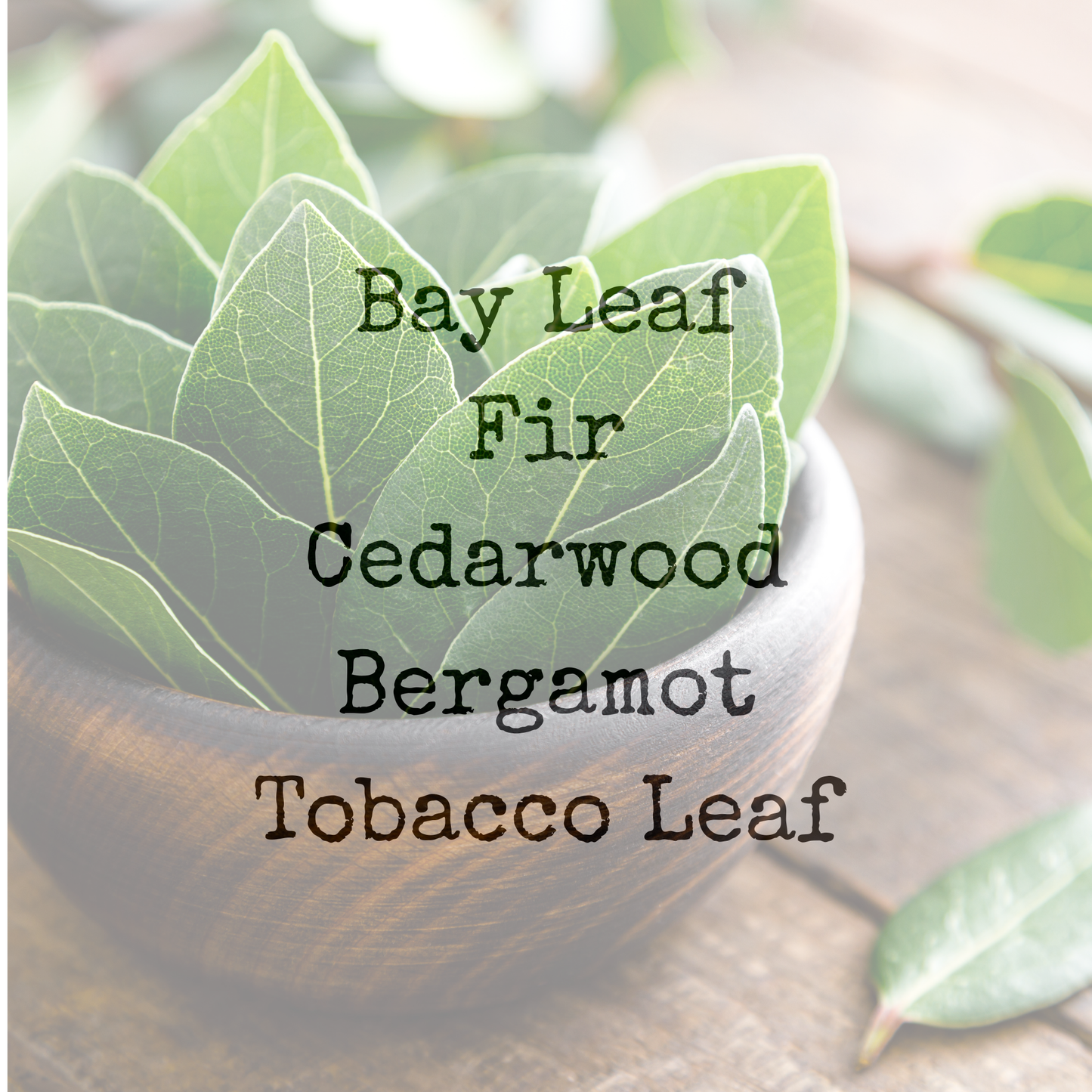 TOBACCO+BAY LEAF| 6.5oz Candle