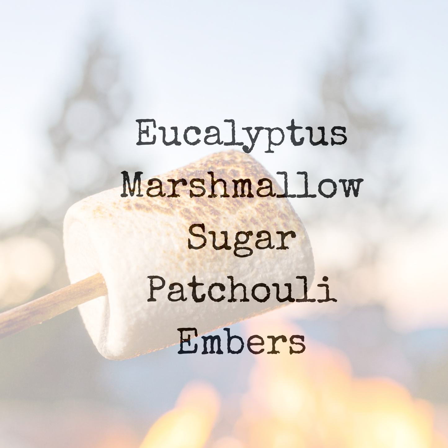 MARSHMALLOW+EMBERS| 6.5oz Candle