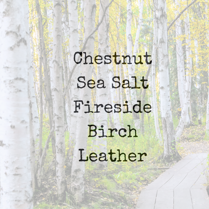 SEA SALT+BIRCH| 6.5oz Candle