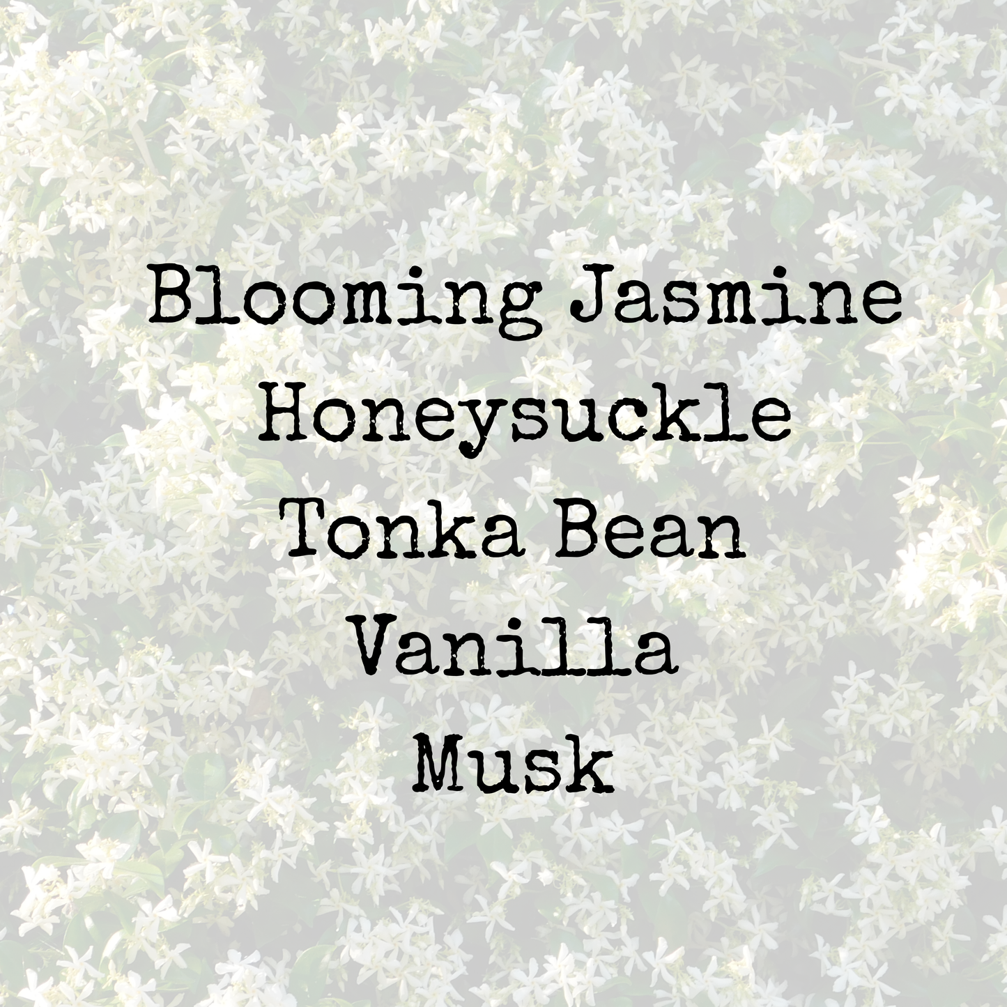 JASMINE+VANILLA| 10oz Candle