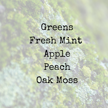 MINTED ORCHARD|10oz Candle